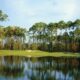 Golf Course Water Scene