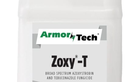 A synergistic combination golf course fungicide, combining of some of the best turf fungicide technologies in the market: Azoxystrobin and Tebuconazole.