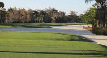 Golf Cart Path Camouflage