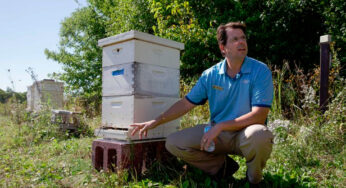 Illinois Golf Course Superintendent/Beekeeper and Allied Association Pair Wins 2016 Bayer Bee Care Community Leadership Award