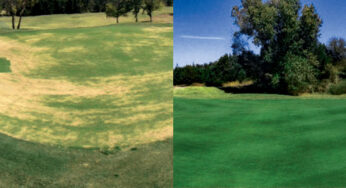 Saving Golf from the Bottom of the Market