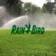 Rain Bird