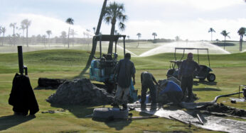 Are Drainage Problems Draining Your Budget… and Your Patience?