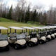 Golf Carts