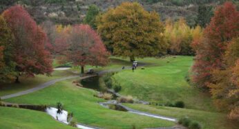 Part 1: Golf in the Land of Beauty (and Sheep)