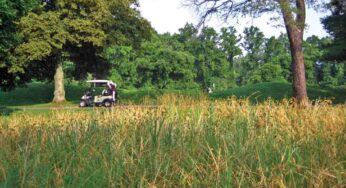 Ernst Conservation Seeds: Sowing the Seeds, Reaping the Harvest