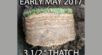Inches of Thatch? It’s Time for a De-Thatcher Rescue!