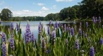 The Importance of Understanding your Watershed