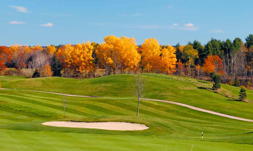 Managing Your Course Heading Into Fall Golf Course Trades Buying