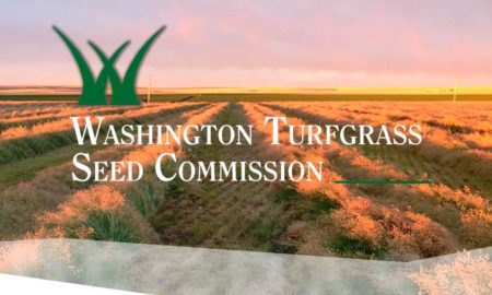 washtington turfgrass seed commission