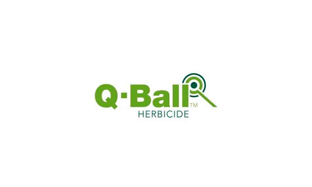 Q-Ball herbicide