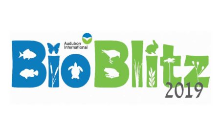 Audubon International’s BioBlitz