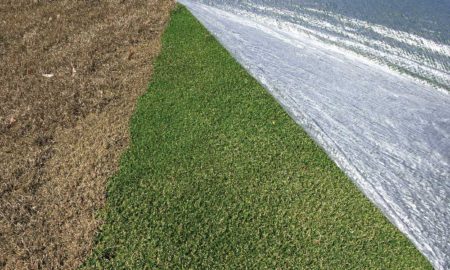 Evergreen Turf Covers