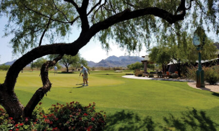 Biofeed Turf - Grayhawk Golf Course