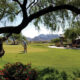 Biofeed Turf - Grayhawk Golf Course