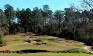 The golf course greens are shown at Rayburn Country