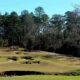 The golf course greens are shown at Rayburn Country