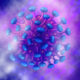 COVID-19 (Coronavirus)