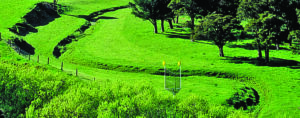 GolfCross Can Be Played on Any Open Area