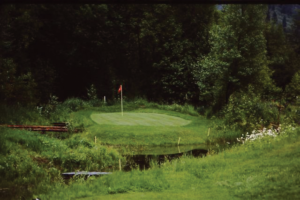 Island Green at Whispering Rattlesnakes