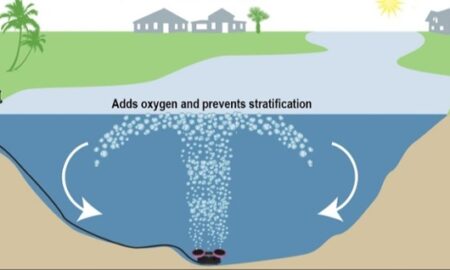 The benefits of submersed aeration