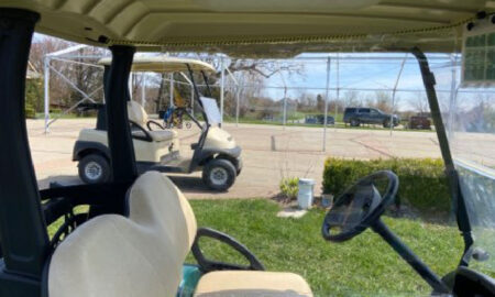 Wittek Golf cart divider