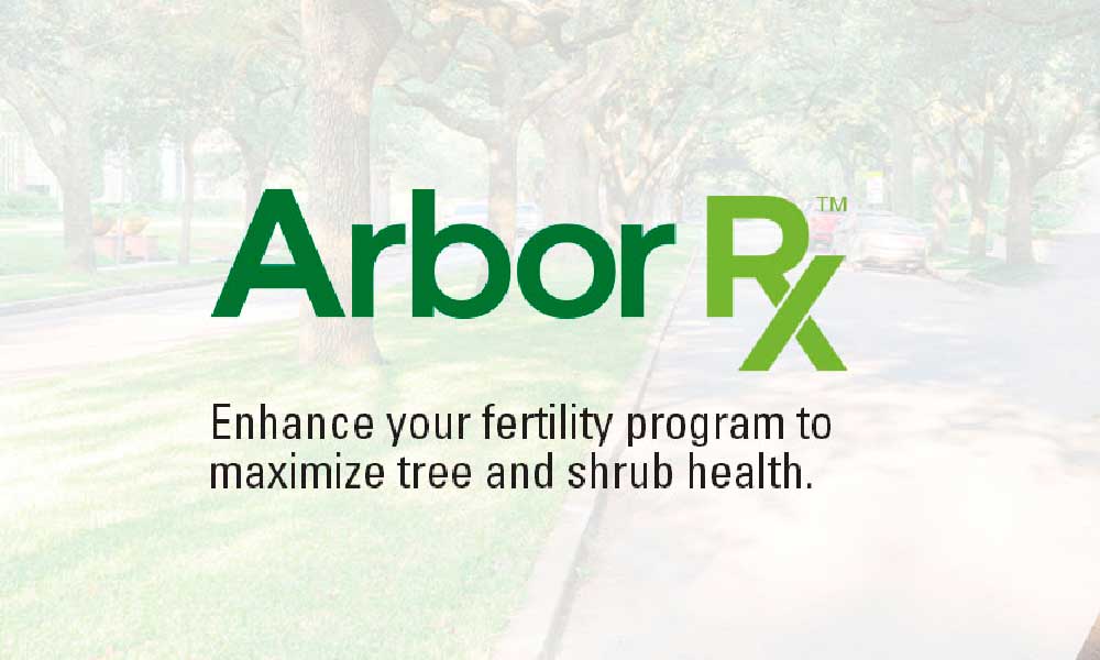 Arbor RX