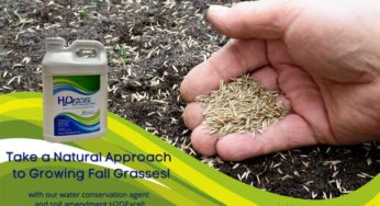 Turf Specialist Recommends Natural Approach When Growing Fall Grasses