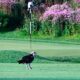 Keller Golf Course Superintendent Paul Diegnau helps boy scout and Osprey