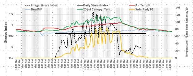 Image Stress and Daily Stress in a section of fairway.