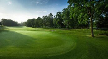 Health, Quality, Stress, and Irrigation Indexing for Turf From Thermal and Visual Image Data