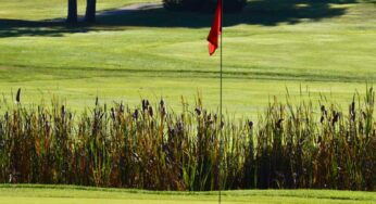 Seacoast golf courses thrived this season despite delayed start