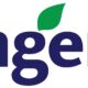 Syngenta