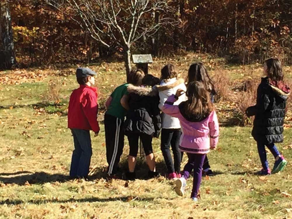 a school group of children 