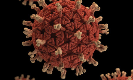 COVID Virus