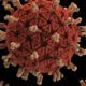 COVID Virus