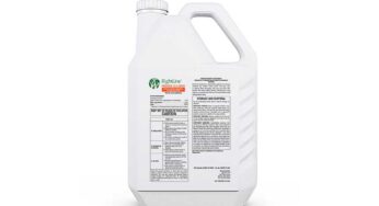 RightLine launches PROHEX 27.5 WDG Plant Growth Regulator