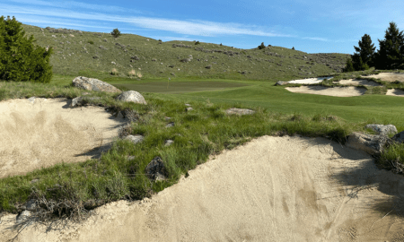 Elk Damage at Rock Creek