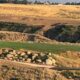 RainDance National Golf Course using Capillary Bunkers lining technology