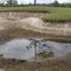 A poorly-draining golf course bunker before renovation