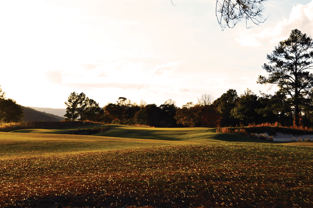 Sweetens Cove Golf Club Pittsburg TN A Fruit Bearing Tree