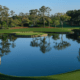 A view of the 17th green at TPC Sawgrass.