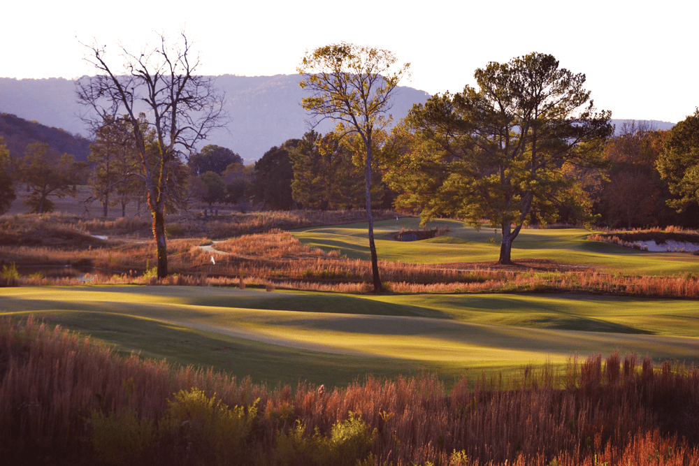 Sweetens Cove Golf Club Pittsburg TN One Project in the Ground