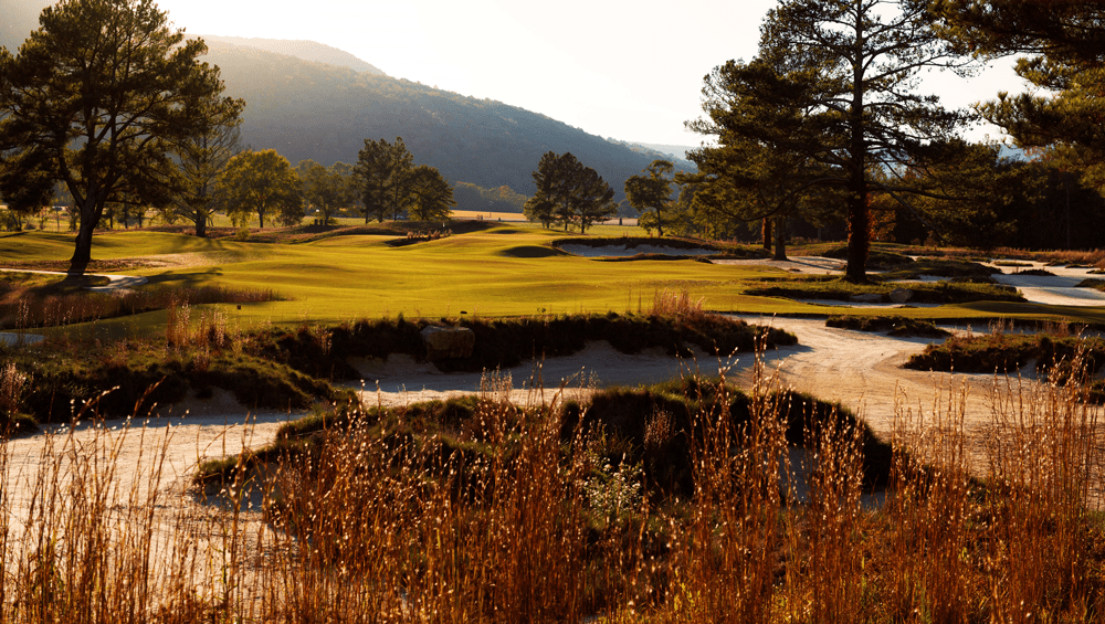 Sweetens Cove Golf Club Pittsburg TN Wild Dream Takes Root and Grows