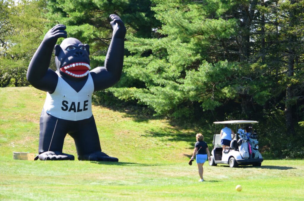 A giant gorilla greeted golfers on # 17 at the River Hills Golf and Country Club in Clyde River. - Kathy Johnson