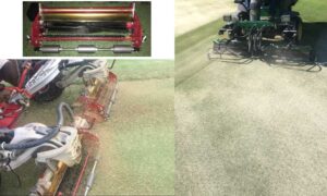 2022 Groom and Fill units to fit most major brand triplex greens mowers