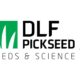 DLF Pickseed