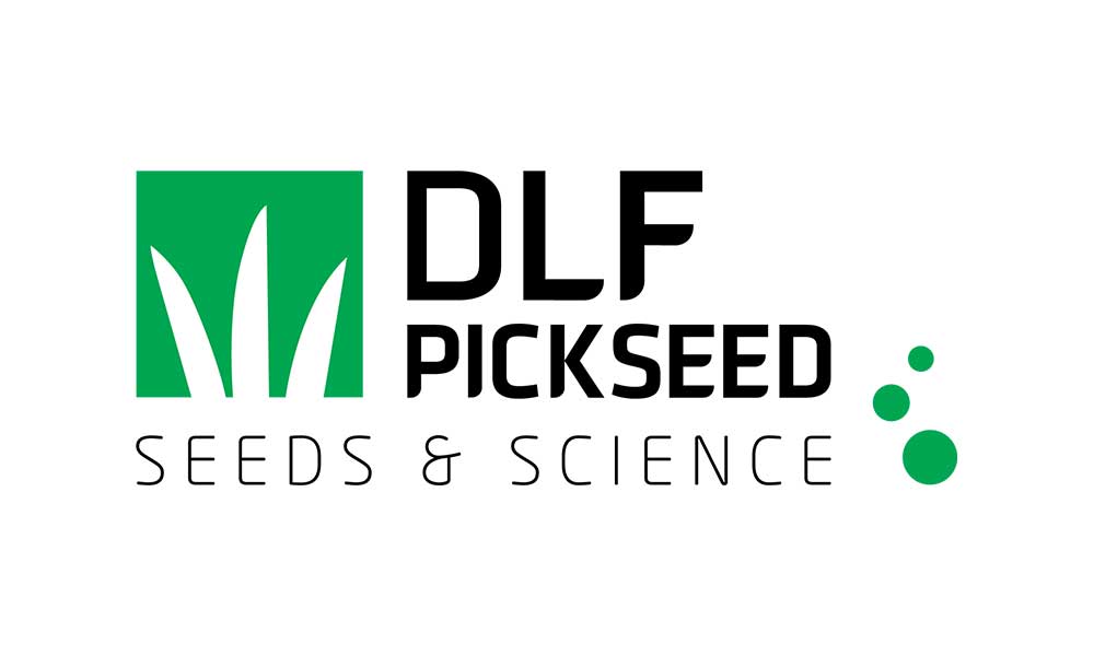 DLF Pickseed