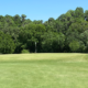 Bartow Golf Course (1st hole green)