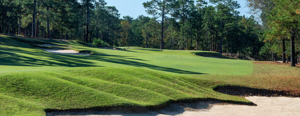 Pinehurst Course No. 8 - Natural marshlands make No. 8 one of the course's most beautiful landscapes.